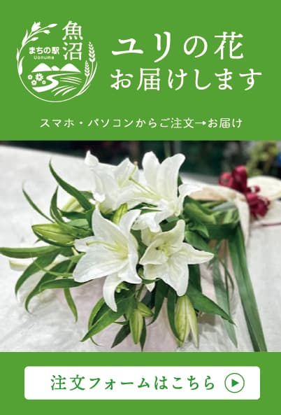 ユリの花 お届けします